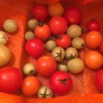 Pinterest Hidden Image