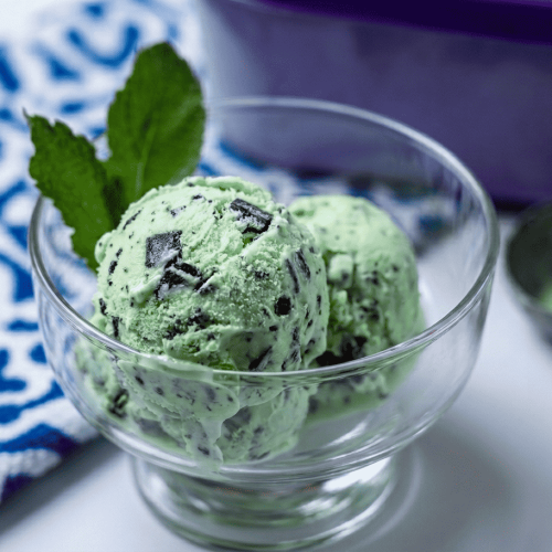 Mint Chocolate Ice Cream
