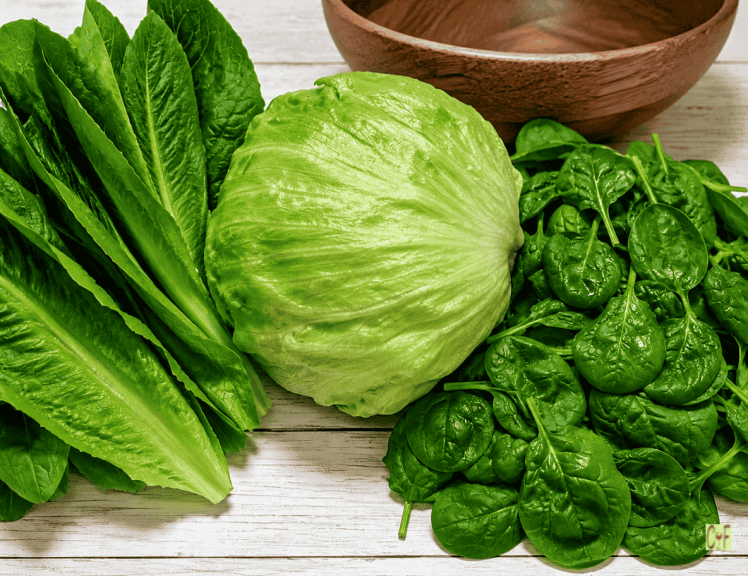 Spinach vs Romaine vs Iceberg