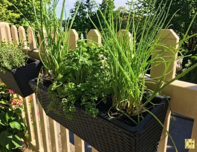 Herb Garden